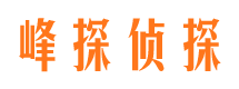 谯城私家调查公司